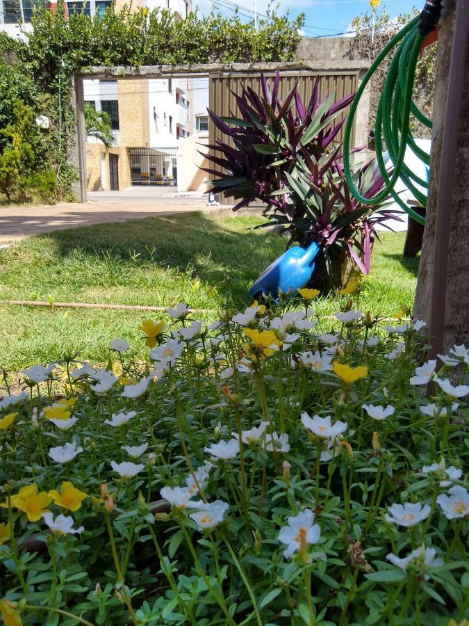 Hostel Consciente Aracaju Dış mekan fotoğraf